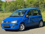 Fiat New Panda 1.1 8V Active 1 HAND TÜV NEU - Fiat New Panda in Stuttgart