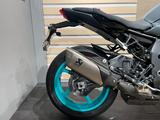 Yamaha MT-10 *Akrapovic*KZH*Hebelprotektor-Blinker* - YAMAHA MT