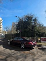 Mercedes-Benz CLS 55 AMG Kompressor - Mercedes-Benz CLS 55 AMG