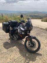 Ducati Desert X - DUCATI X DESERT