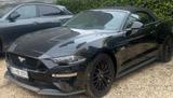 Ford Mustang 5.0 Ti-VCT V8 GT Auto GT - Ford Mustang Gebrauchtwagen in Wuppertal