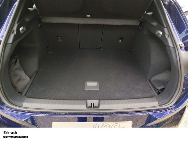 Cupra Terramar - Bild 8