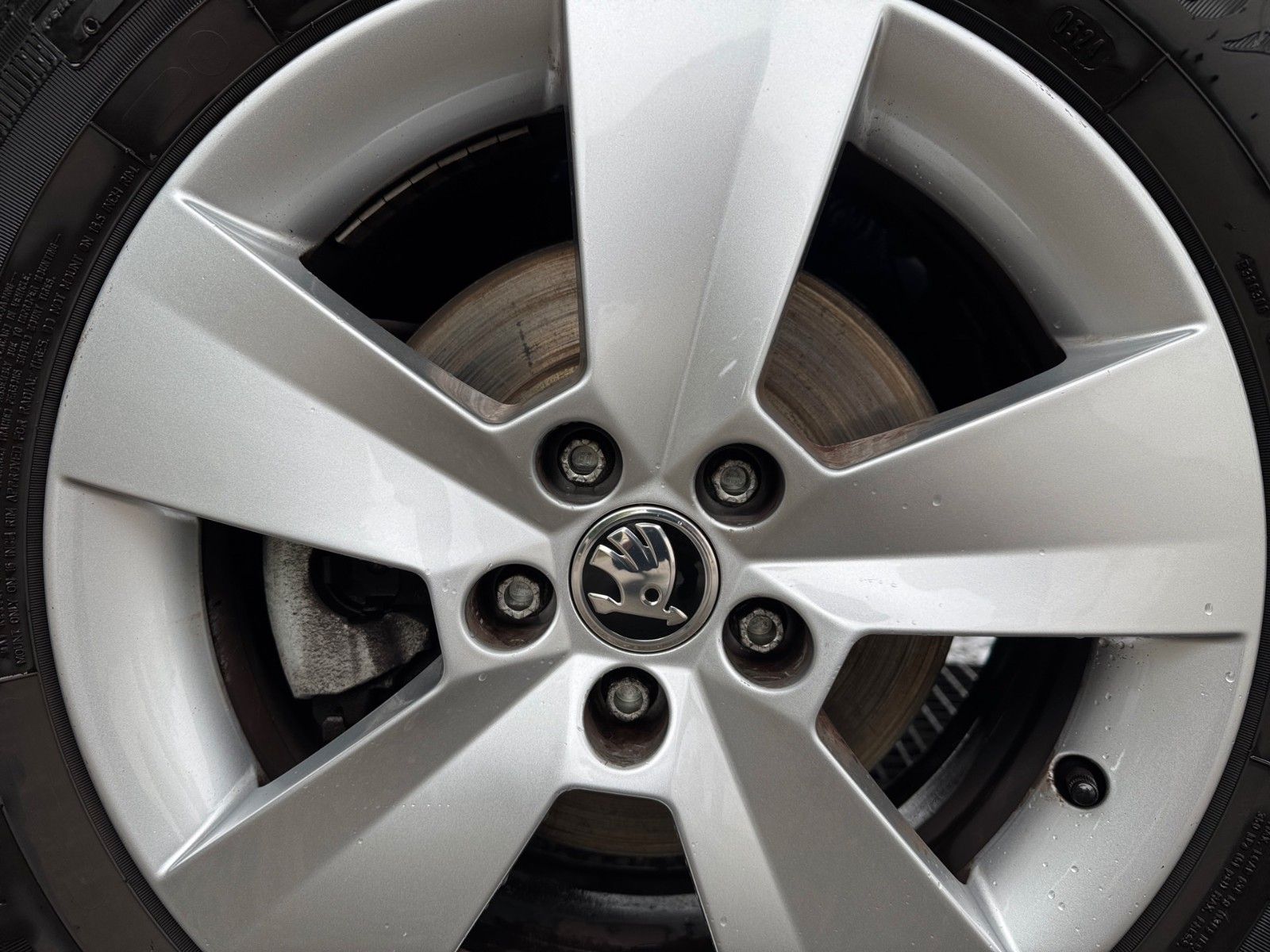 Fahrzeugabbildung SKODA Kamiq Ambition 1.0 TSI
