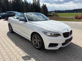 BMW M240i xDrive Cabrio Leder LRH NAVI ohne OPF AHK - BMW M240i xDrive Gebrauchtwagen