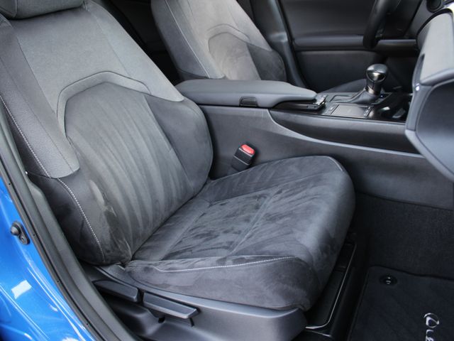 UX 250h LED*ACC*SHZ*Apple CarPlay