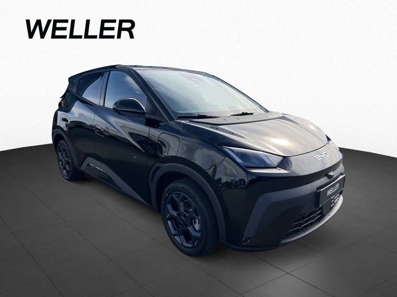 BYD DOLPHIN SURF