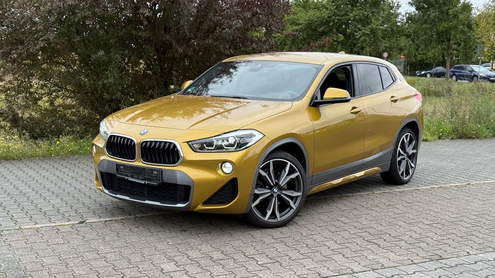BMW X2 xDrive 20 d M Sport X*ACC*HEADUP*20"ALU*LED*