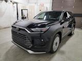 Toyota GRAND Highlander Platinum Max T1: 72.900 EURO - schwarze Toyota Highlander
