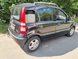 Fiat Panda - Fiat Panda aus 2010