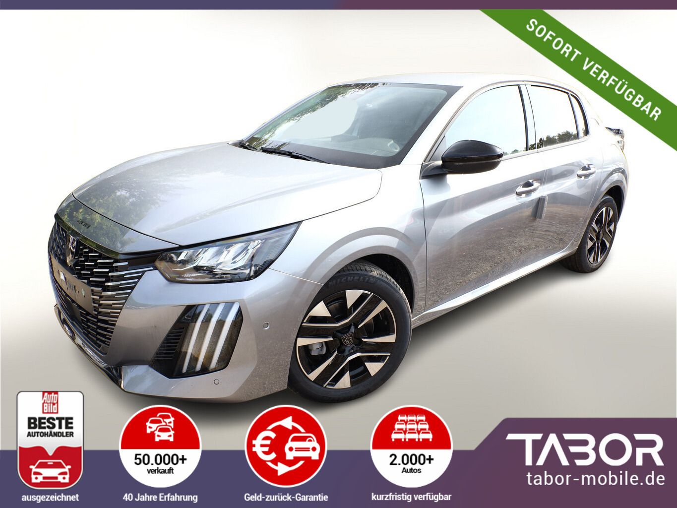 Peugeot 208 Allure ACC Kam SHZ PDC LED 16Z CarP 3JGar BT