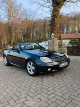 Mercedes-Benz SLK 230 KOMPRESSOR 2002 Handschalter AMG Sitze - Mercedes-Benz SLK 230: Kompressor