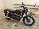 Triumph Bonneville T100 McQueen