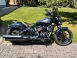 Indian Chief Dark Horse