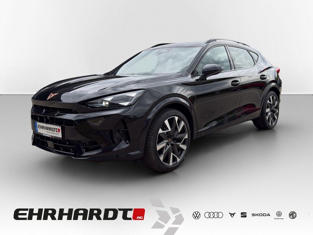 Formentor 2.0 TSI DSG 4Drive VZ DCC AHK*MATRIX*V