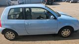 Volkswagen Lupo 1.4 College College - Volkswagen Lupo: Blau