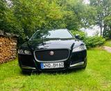 Jaguar XF 20d AWD 179 PS Sportbr. Auto. Leder. Panorama - gebrauchte Jaguar XF aus dem Jahr 2020