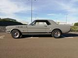 Ford Mustang - Ford Mustang Gebrauchtwagen in Wuppertal