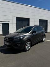 Ford Kuga 1,5 EcoBoost 4x4 129kW ST-Line Automat ...