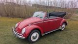 Volkswagen Käfer Cabrio - VW Gebrauchtwagen von 1965