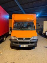 Fiat 244 Verkaufswagen mit großer Kühlthek... - : Verkaufswagen