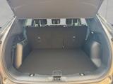 Ford Kuga 2.0 EcoBlue Aut. ST-LINE - Ford Kuga mit Diesel-Antrieb: Geländewagen