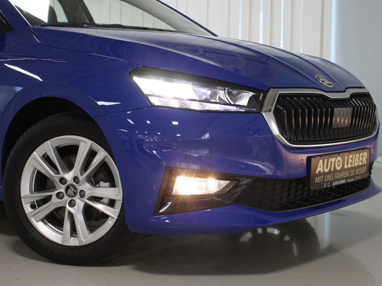 Fahrzeugabbildung SKODA Fabia 1.0 TSI Selection RFK/SHZ/APP/Keyless