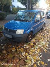 Fiat Panda 1.1 Benzin oder auf Teilen - Fiat Panda in Wiesbaden