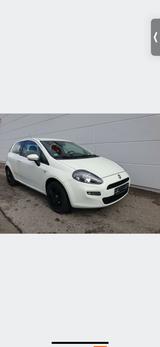Fiat Punto - Fiat Punto Gebrauchtwagen in Stuttgart