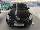 Volkswagen Beetle 1.6 TDI CUP - Volkswagen Beetle: TDI
