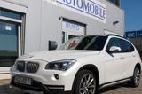 BMW X1  X Line 20d X Drive Leder Navi Bi-Xenon Pano - BMW X1: Drive