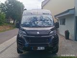 Bravia Swan 636, 30 Year Edition   ++TOP Zustand++ - Offers