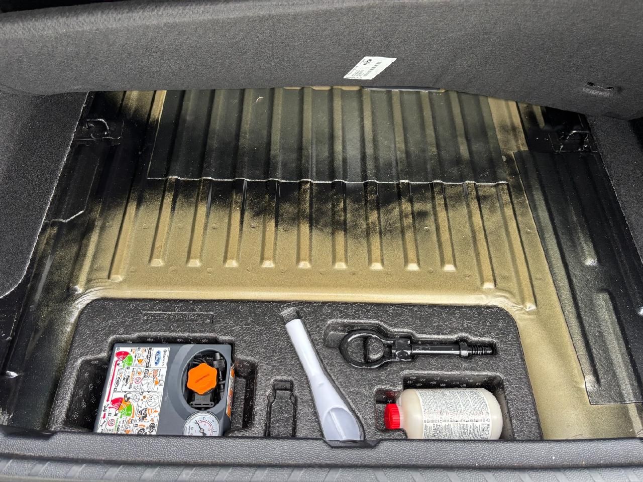Fahrzeugabbildung Ford EcoSport ST-Line