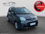 Fiat FIAT Panda 1.3 MJT 95 CV S&S Lounge INTROVABILE! - Fiat Panda LOUNGE mit Diesel-Antrieb