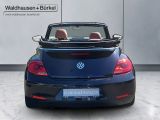 Volkswagen Beetle Cabriolet 1.2 TSI Cup BMT*PDC*WS*APP*NAVI - Volkswagen Beetle: Schwarz