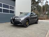 Alfa Romeo Stelvio 2.9 Bi-T. V6 375kW Quadrifoglio AT8-... - Alfa Romeo Stelvio Quadrifoglio mit Benzin-Antrieb