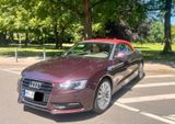 Audi A5 Cabriolet  - Audi A5: Cabrio