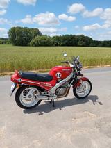Honda NTV 650 - HONDA NTV 650