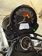 Triumph Street Scrambler 900 Limited Edition - TRIUMPH SCRAMBLER