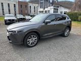 Mazda CX-5 2.5L SKYACTIV G 194 TAKUMI - Mazda CX-5 Gebrauchtwagen