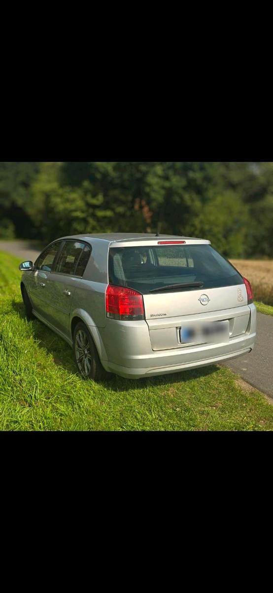 Opel Signum 2008 — rear view