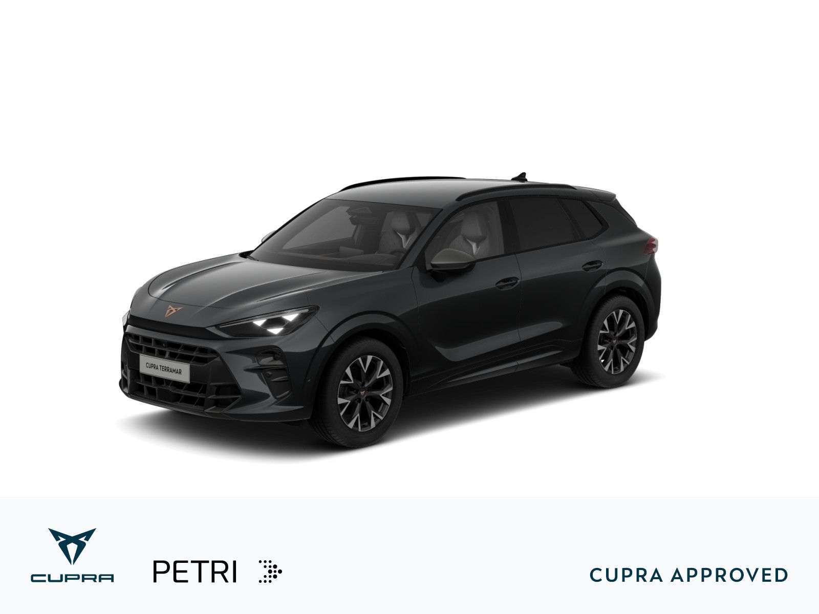 Cupra Terramar - Bild 1