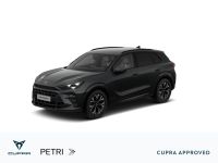Cupra Terramar - Vorschau Bild 1
