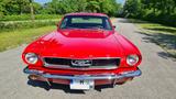 Ford Mustang 1966 V8 Oldtimer - Ford Mustang: Old