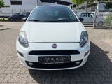 Fiat Punto Pop - Fiat Punto: Pop