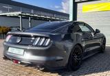 Ford Mustang 5.0 Ti-VCT V8 Fastback GT LPG Gasanlage - gebrauchte Ford Mustang aus dem Jahr 2015