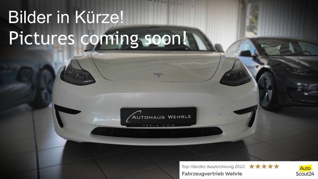 Image of Tesla Model Y