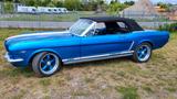 Ford Mustang Cabrio V8 289 mit H Zulassung - Ford: 289