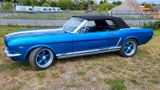 Ford Mustang Cabrio V8 289 mit H Zulassung - Ford Mustang aus 1966: Cabrio