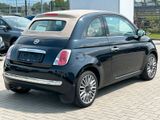 Fiat 500 Cult Cabrio/Klima/PDC/TÜV neu - Fiat 500: Leder, Scheckheftgepflegt