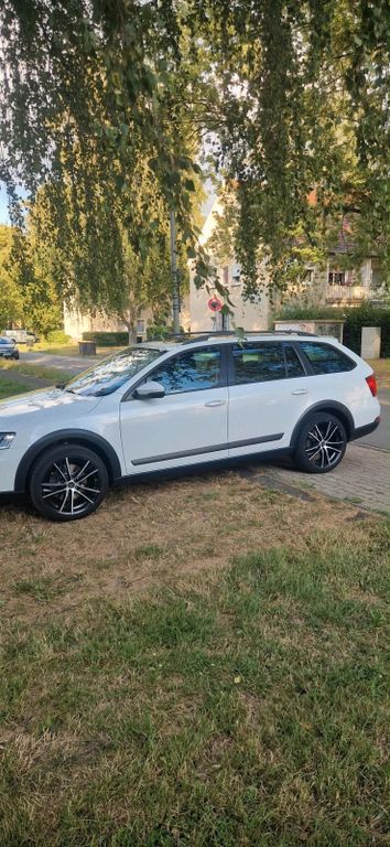 Image of Skoda Octavia